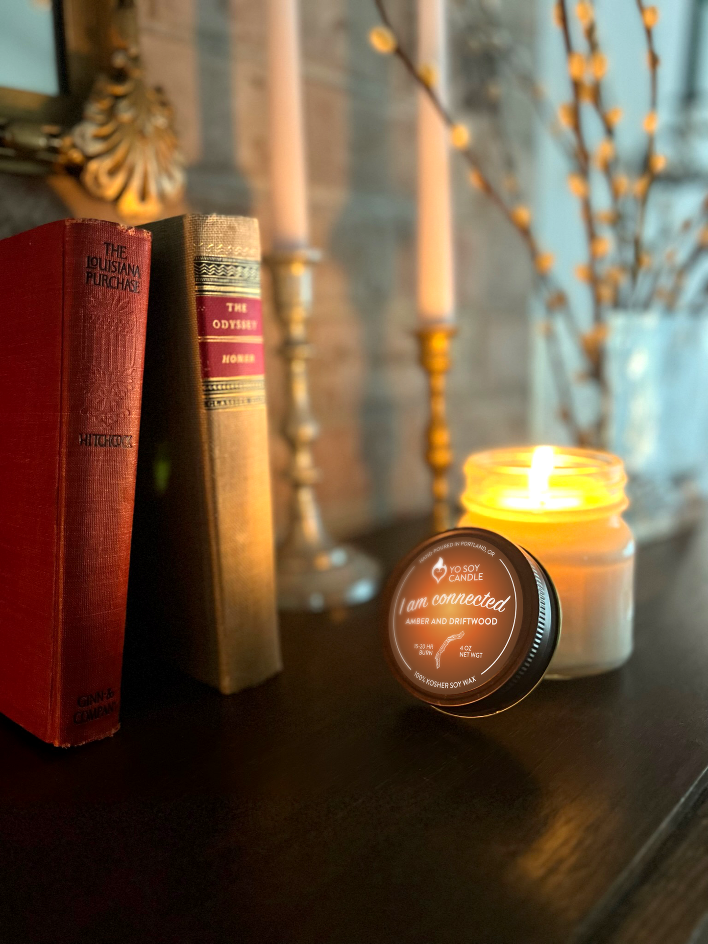 I Am Connected : Amber And Driftwood