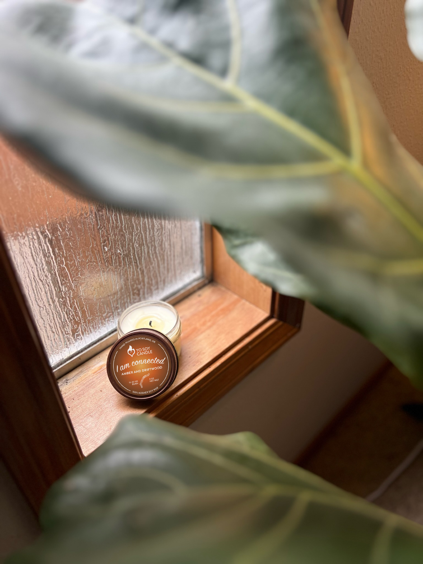 I Am Connected : Amber And Driftwood